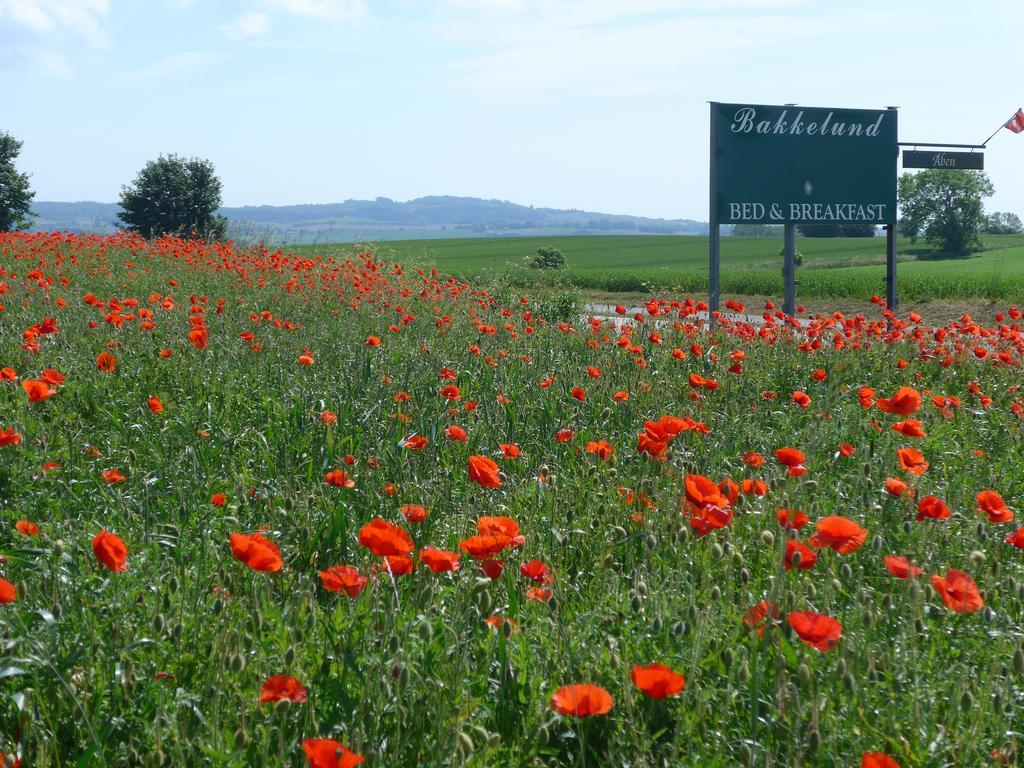 Bakkelund Bed & Breakfast Borre Екстер'єр фото